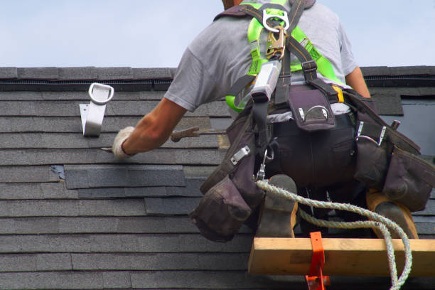 Best Local Roofing Companies  in South Shore, KY