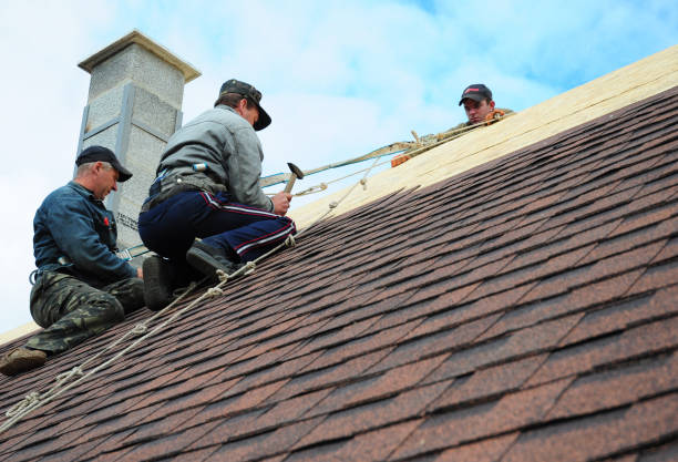 Quick and Trustworthy Emergency Roof Repair Services in South Shore, KY